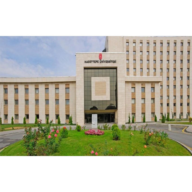 HACETTEPE ÜNİVERSİTESİ